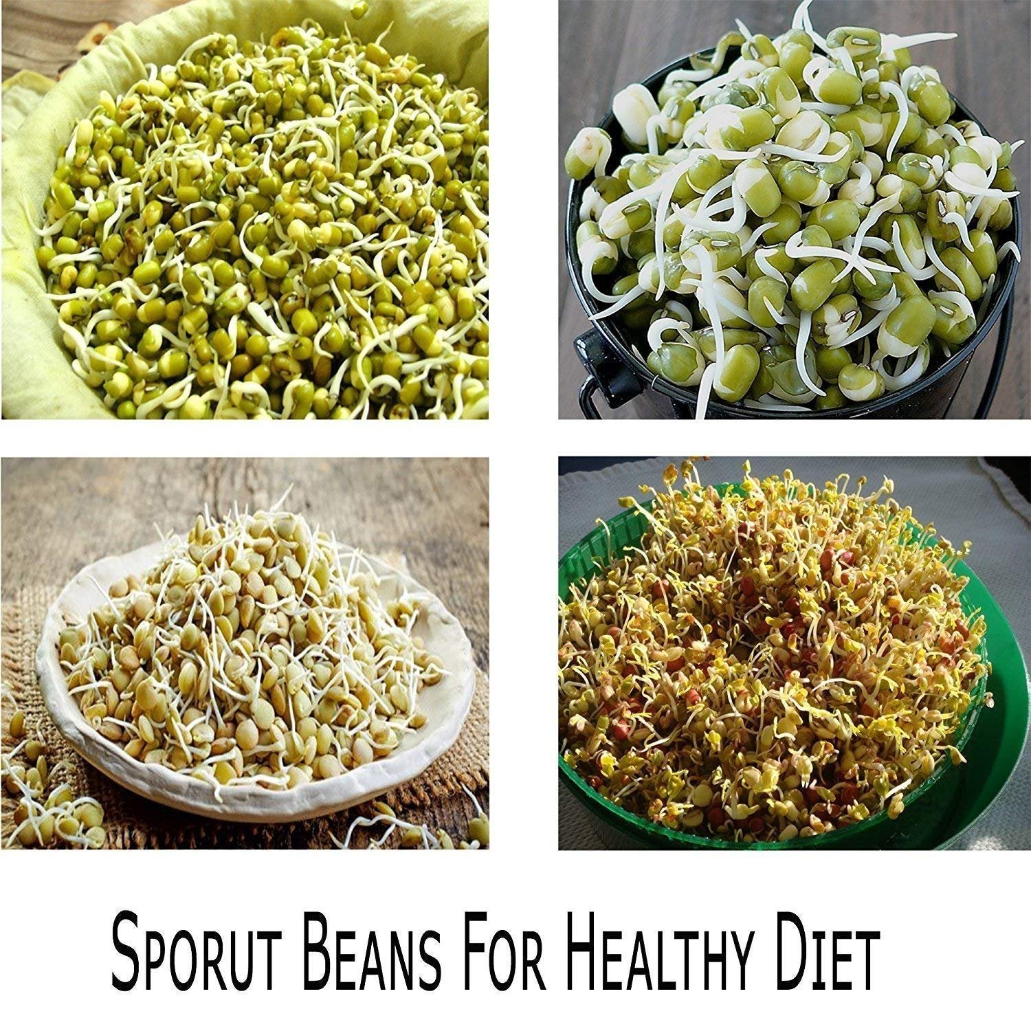 Sprout Maker Medium – Convenient and Efficient Sprout Growing Kit for Healthy Sprouts, Ideal for Beans, Lentils, and Seeds, Perfect for Home Gardening, Kitchen Countertop, and Eco-Friendly Living