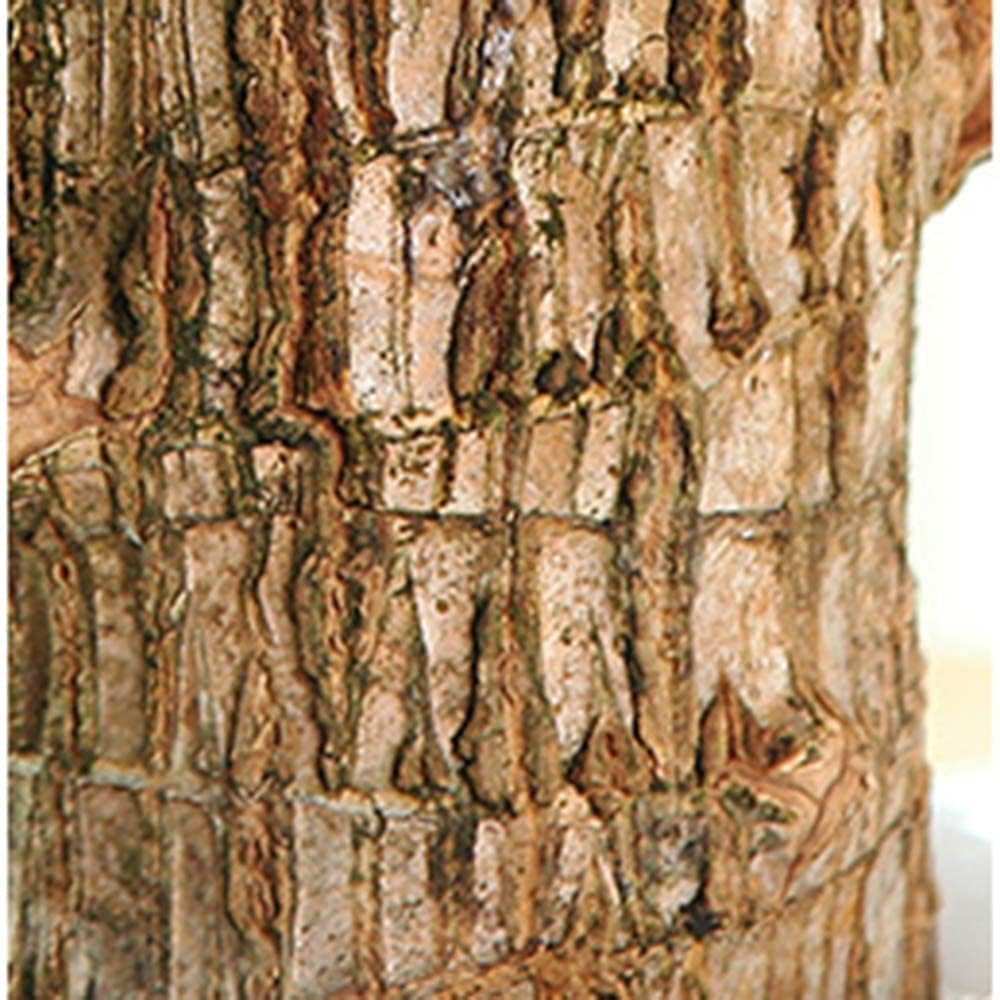 Lucky Brazil Wood – Natural Elegance for Your Space