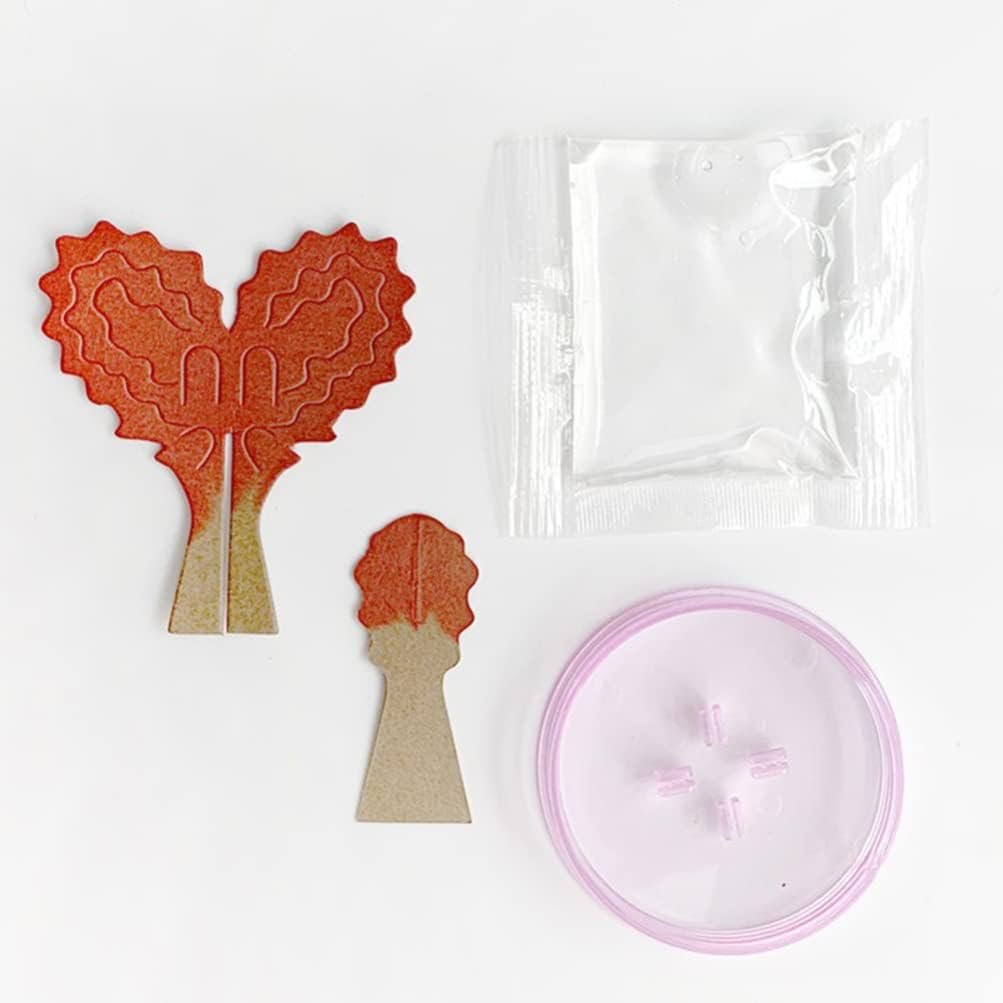 Magic Growing Tree (Mix) ? Grow Your Own Tree ? Fun and Educational Science Toy for Kids