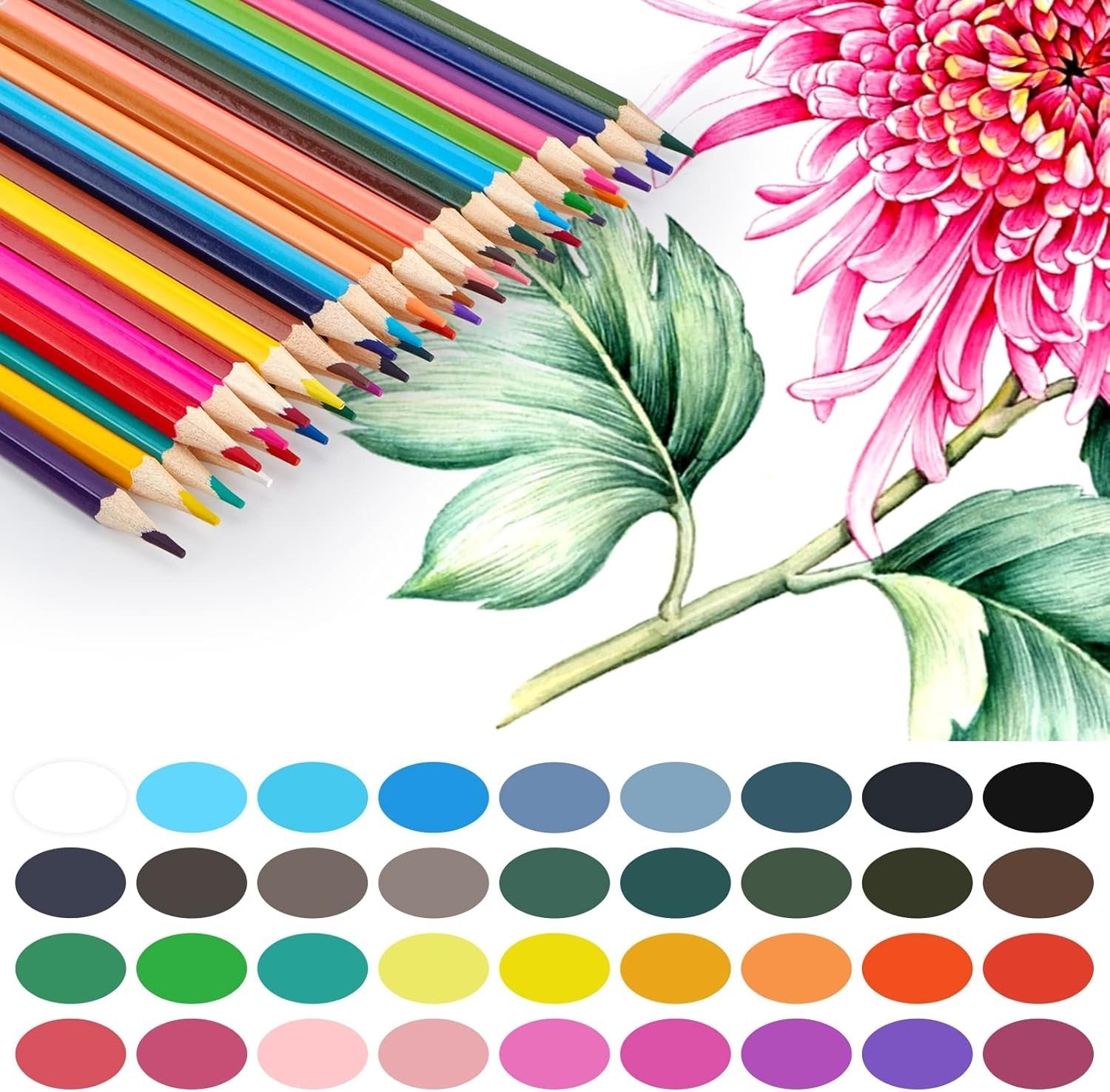 12 PCS Colour Pencil Set with Sharpener ? Vibrant Colored Pencils for Drawing, Sketching, and Art Projects