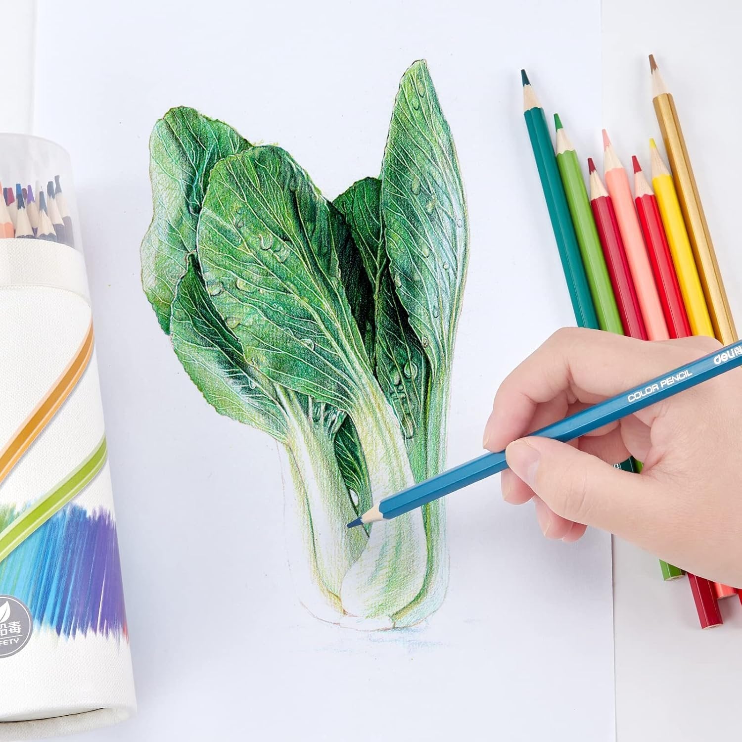 12 PCS Colour Pencil Set with Sharpener ? Vibrant Colored Pencils for Drawing, Sketching, and Art Projects