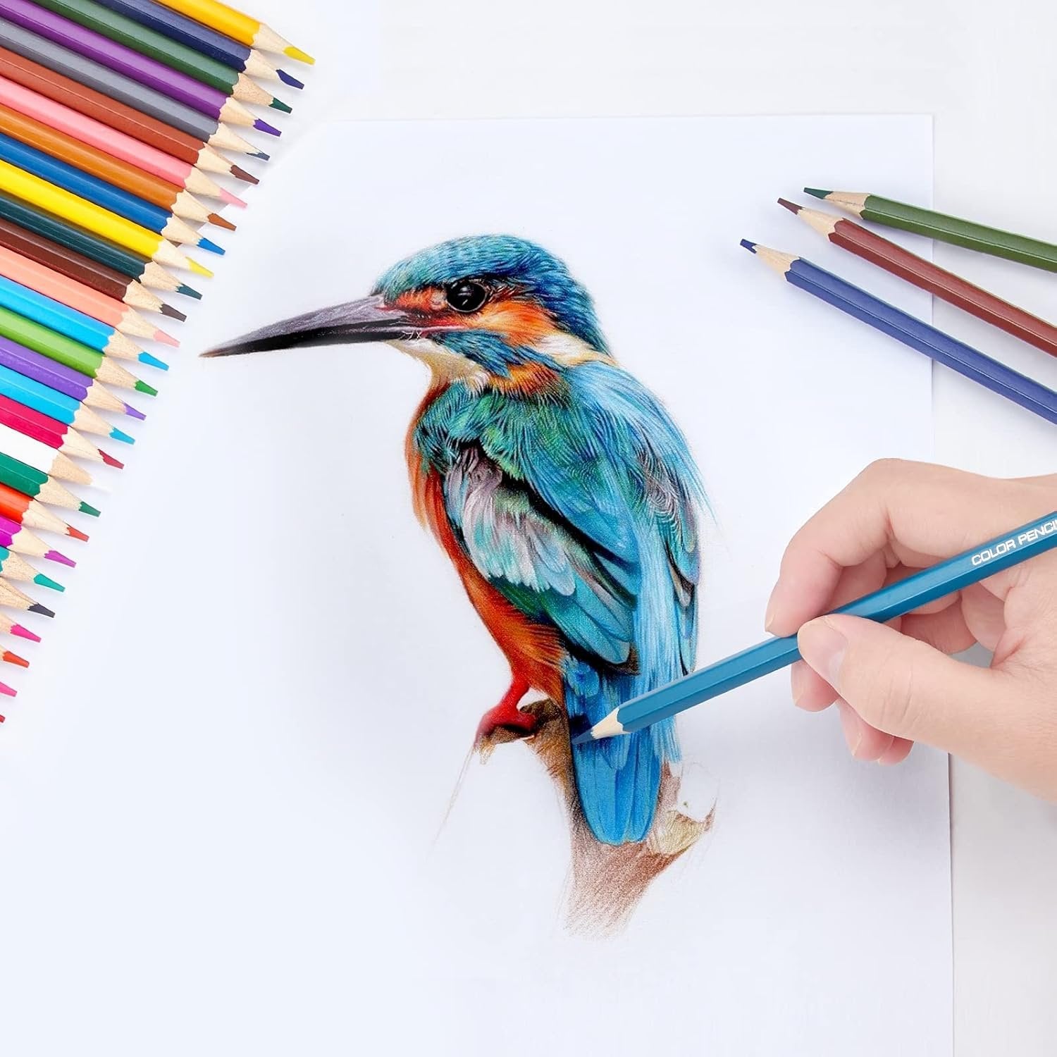 12 PCS Colour Pencil Set with Sharpener ? Vibrant Colored Pencils for Drawing, Sketching, and Art Projects