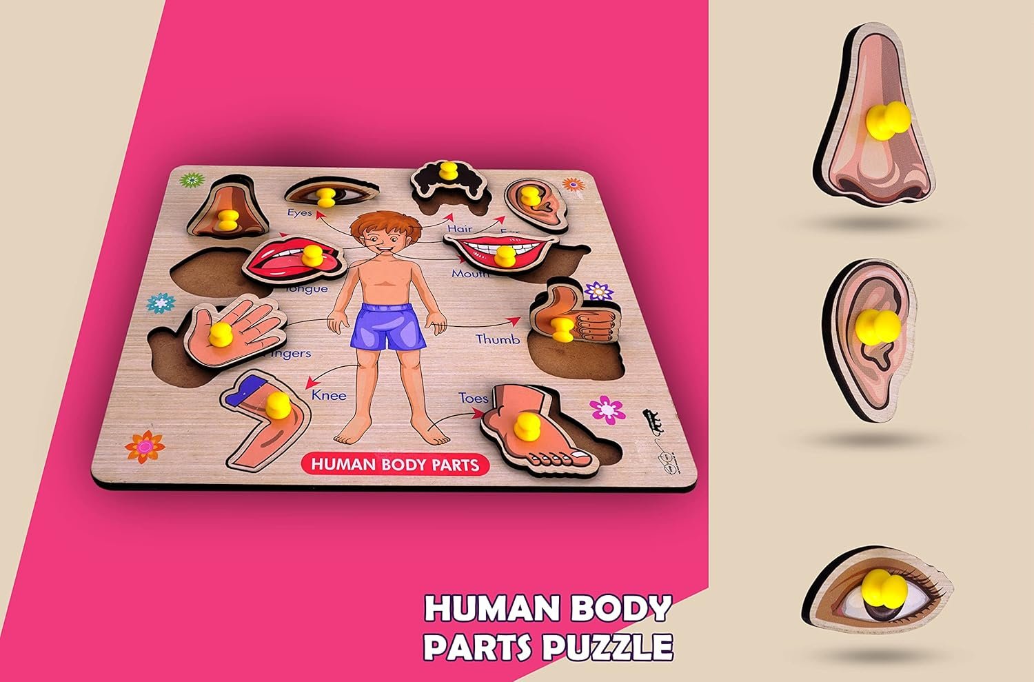 Body Parts Wooden Puzzle ? Educational and Fun Learning Puzzle for Kids, Perfect for Teaching Anatomy