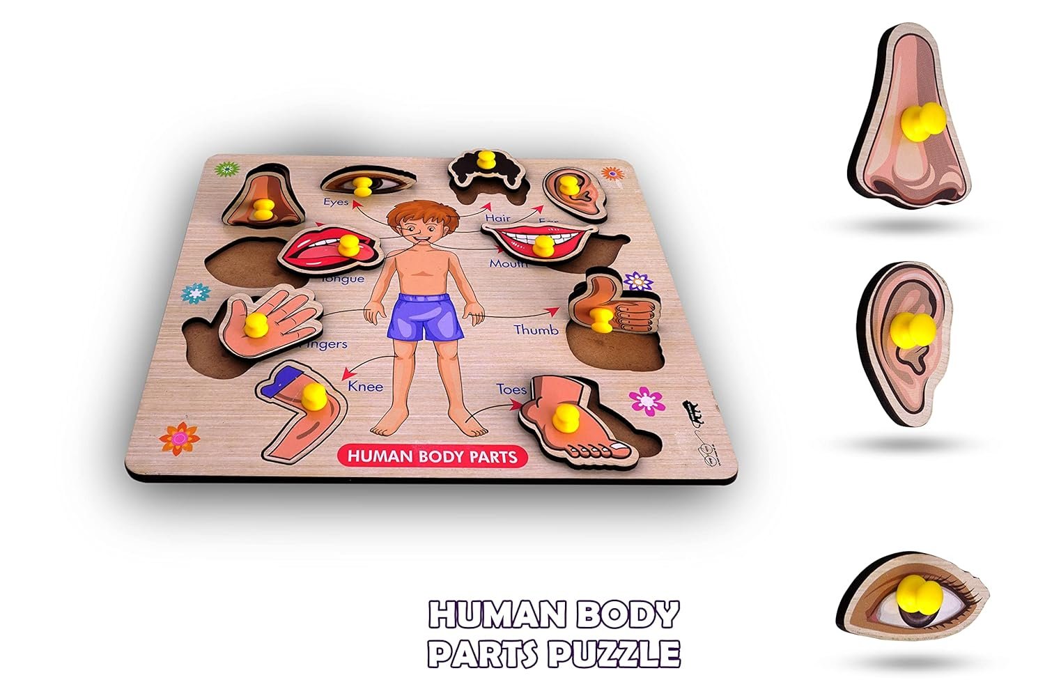 Body Parts Wooden Puzzle ? Educational and Fun Learning Puzzle for Kids, Perfect for Teaching Anatomy