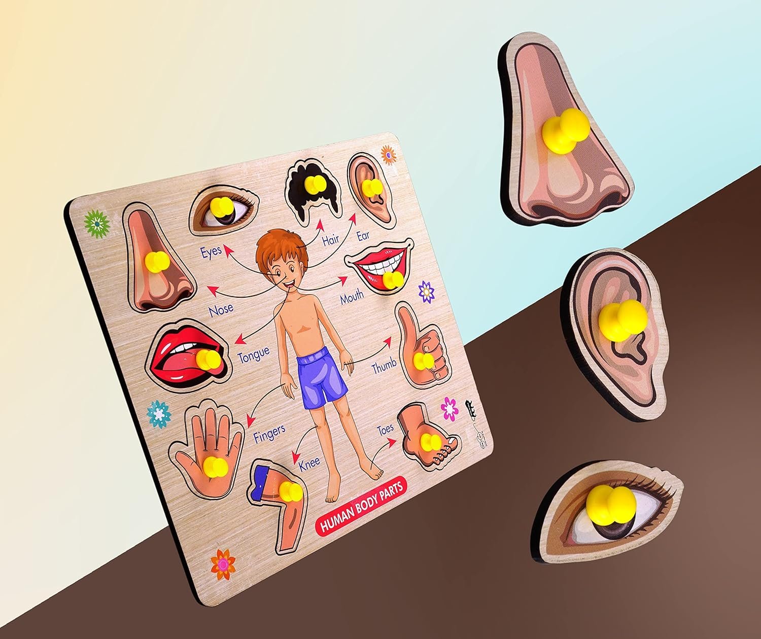 Body Parts Wooden Puzzle ? Educational and Fun Learning Puzzle for Kids, Perfect for Teaching Anatomy