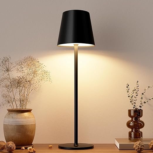 Rechargeable Table Lamp ? LED Touch Control Desk Lamp with Dimmable Brightness, USB Charging, Portable Battery Powered Light for Bedroom, Study & Office