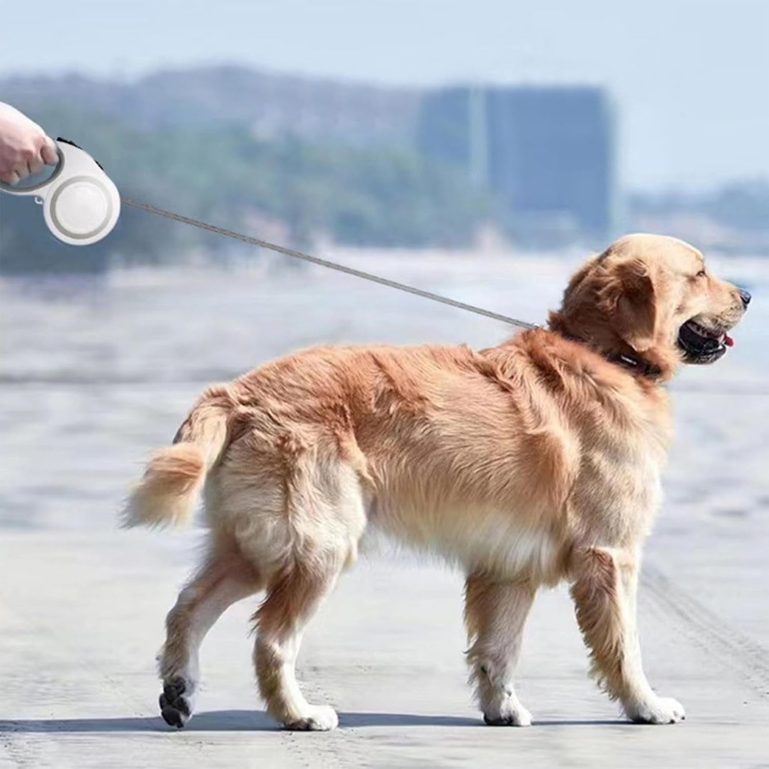 Retractable Pet Leash ? 5 Meter Tangle-Free Dog Leash with One-Hand Lock Button, Strong Nylon Tape & Comfortable Grip for Small to Medium Dogs