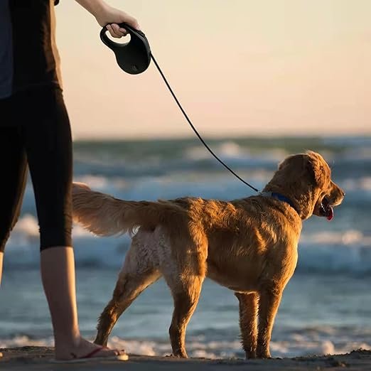 Retractable Pet Leash ? 5 Meter Tangle-Free Dog Leash with One-Hand Lock Button, Strong Nylon Tape & Comfortable Grip for Small to Medium Dogs