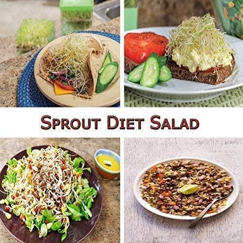 Sprout Maker Medium – Convenient and Efficient Sprout Growing Kit for Healthy Sprouts, Ideal for Beans, Lentils, and Seeds, Perfect for Home Gardening, Kitchen Countertop, and Eco-Friendly Living