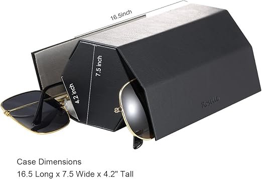 2 Slot Sunglasses Organizer – Black, Premium Eyewear Storage Case for Sunglasses and Eyeglasses, Stylish, Durable, and Space-Saving