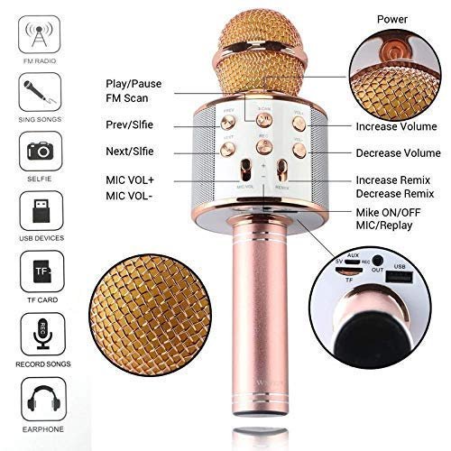 Golden Round Microphone for Singing & Fun – Wireless Karaoke Mic with Echo, LED Lights & Bluetooth for Parties, Kids & Adults