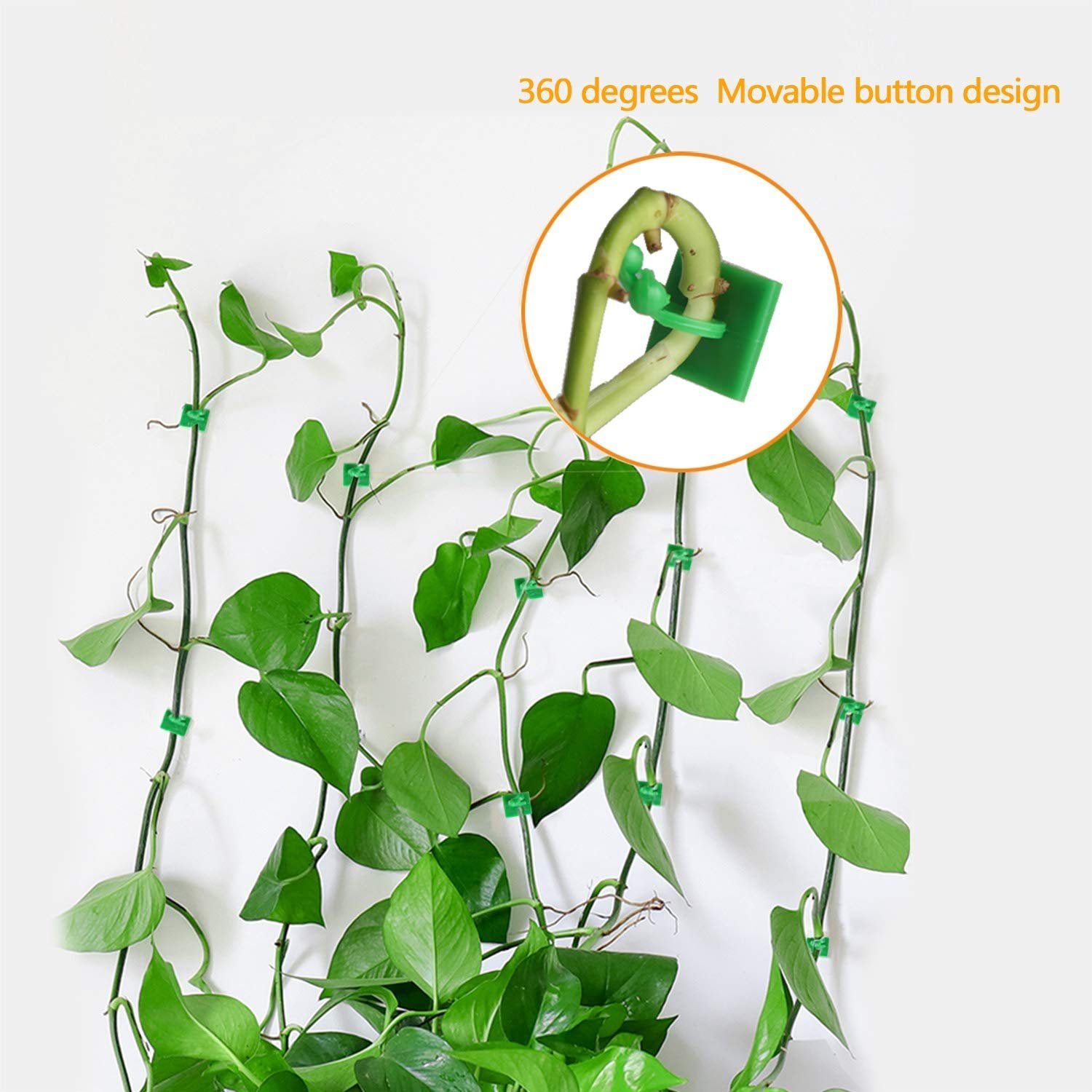 Plant Climbing Fixing Clip (30pc) | Adjustable Garden Plant Support Clips | Secure Climbing Plants, Vines, and Tomatoes
