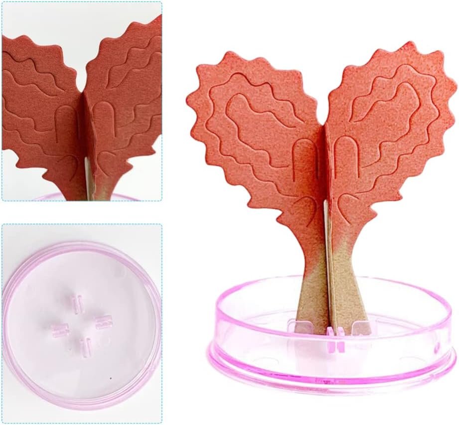 Magic Growing Tree (Mix) ? Grow Your Own Tree ? Fun and Educational Science Toy for Kids

