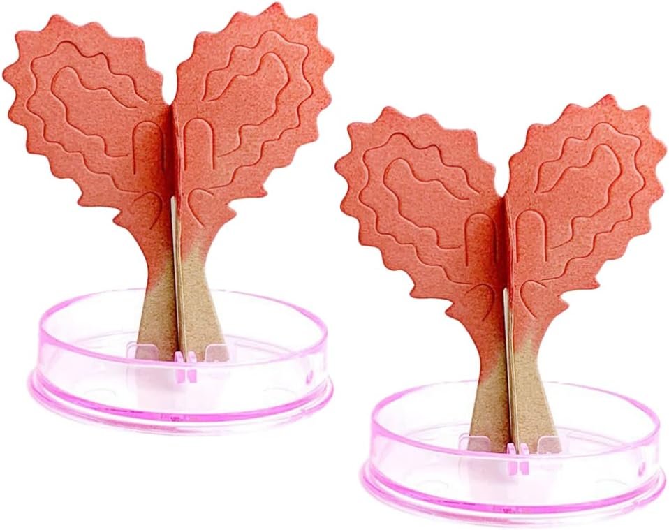 Magic Growing Tree (Mix) ? Grow Your Own Tree ? Fun and Educational Science Toy for Kids


