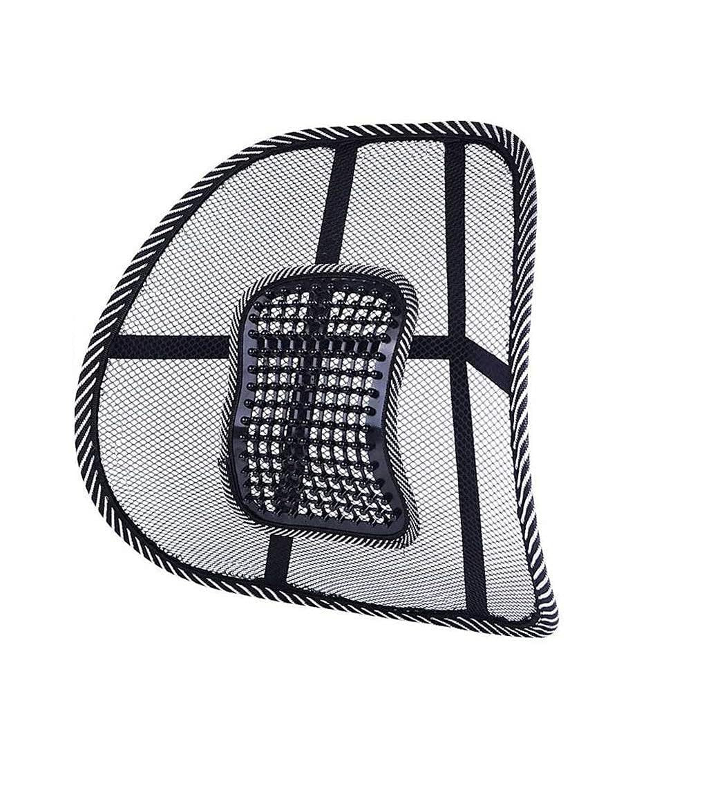 Orthopedic Lumber Back Support Cushion ? Memory Foam Lower Back Pillow for Chair, Office, Car & Home ? Posture Corrector with Adjustable Strap
