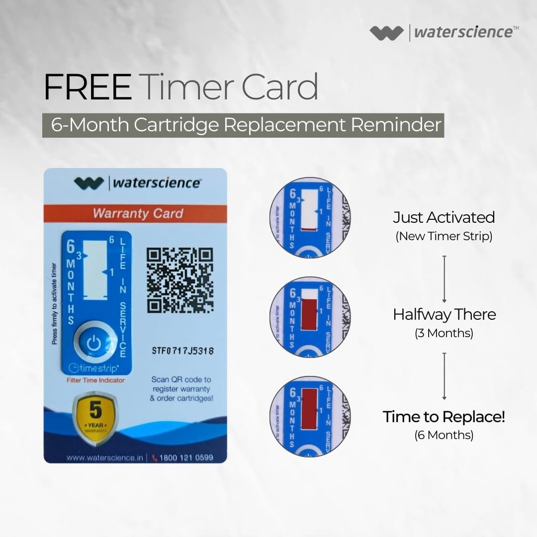 Teddy Bear Tooth Brush Holder ? Cute, Fun Bathroom Organizer for Kids' Toothbrushes

