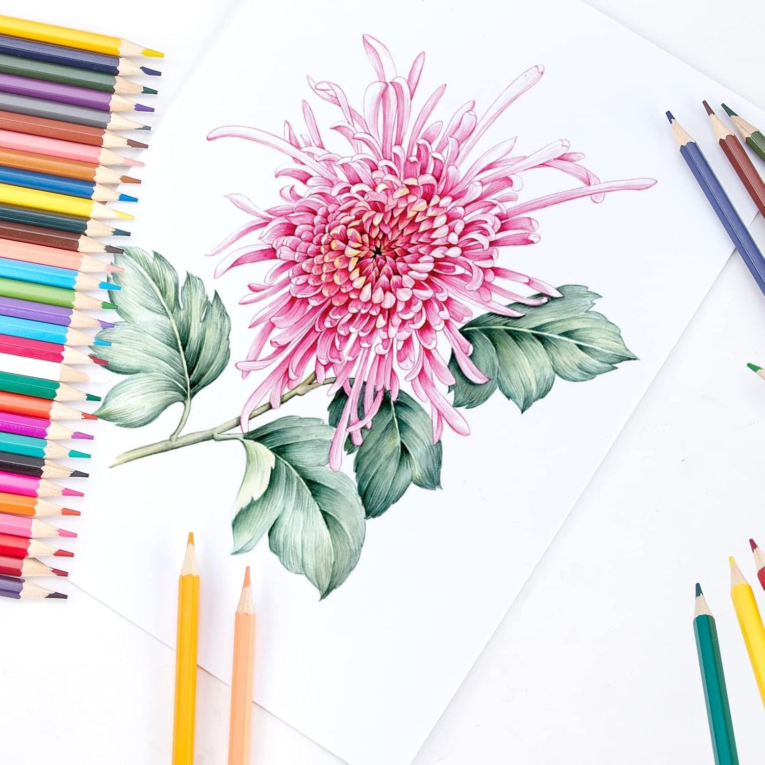 12 PCS Colour Pencil Set with Sharpener ? Vibrant Colored Pencils for Drawing, Sketching, and Art Projects

