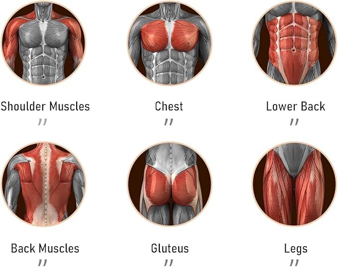 Double Support Abdominal Rebound Wheel ? Dual-Wheel Ab Roller with Automatic Rebound & Knee Pad | Core & Upper Body Trainer for Home Workouts