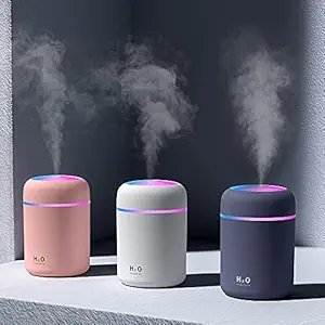 H2O Humidifier ? Mini Portable Cool Mist Humidifier with Night Light | USB Rechargeable Personal Air Humidifier for Home, Car, Office & Travel (320ml)