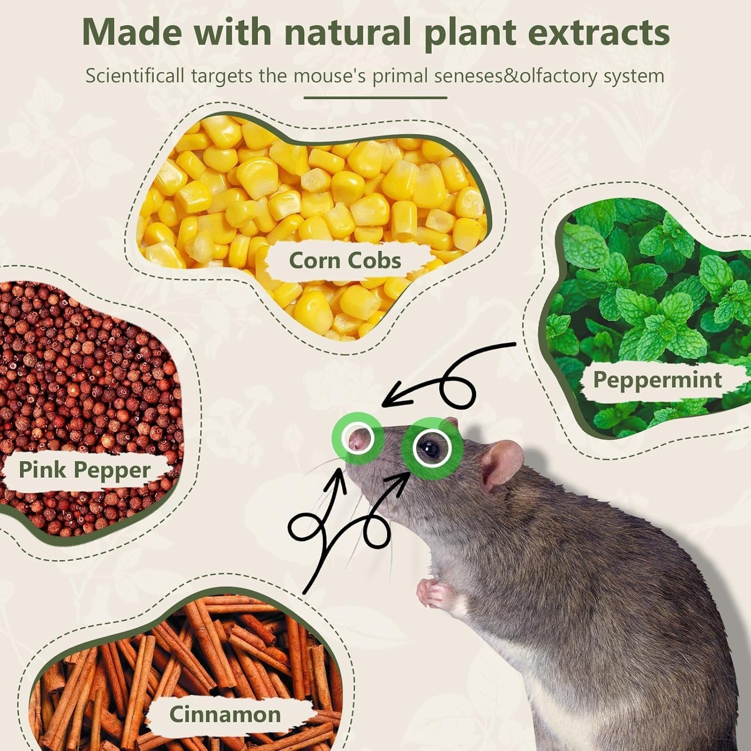 Mouse Repellent (10PCS) ? Ultrasonic Pest Control Devices for Mice & Rodents, Safe & Chemical-Free Mouse Repellers for Home, Kitchen, Garage, and Office