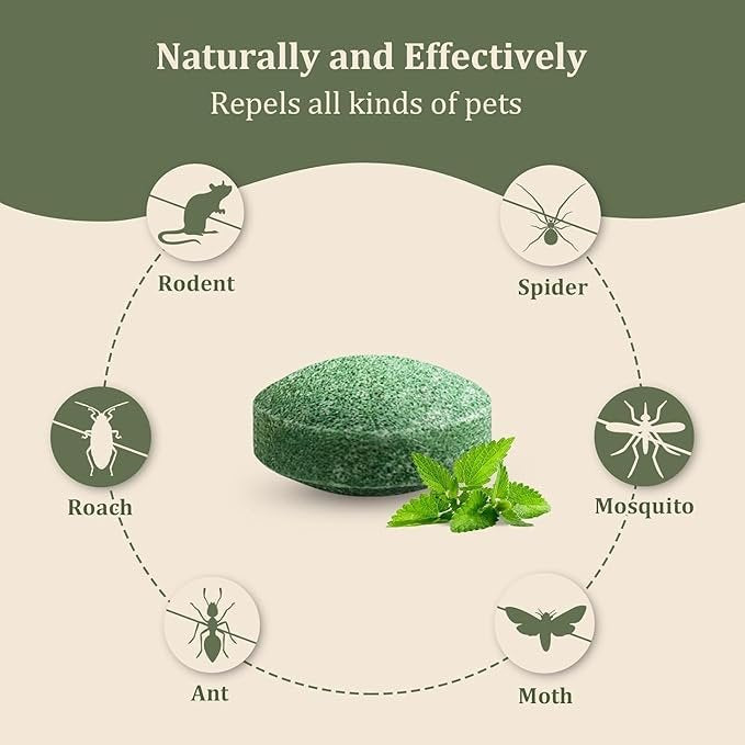 Mouse Repellent (10PCS) ? Ultrasonic Pest Control Devices for Mice & Rodents, Safe & Chemical-Free Mouse Repellers for Home, Kitchen, Garage, and Office