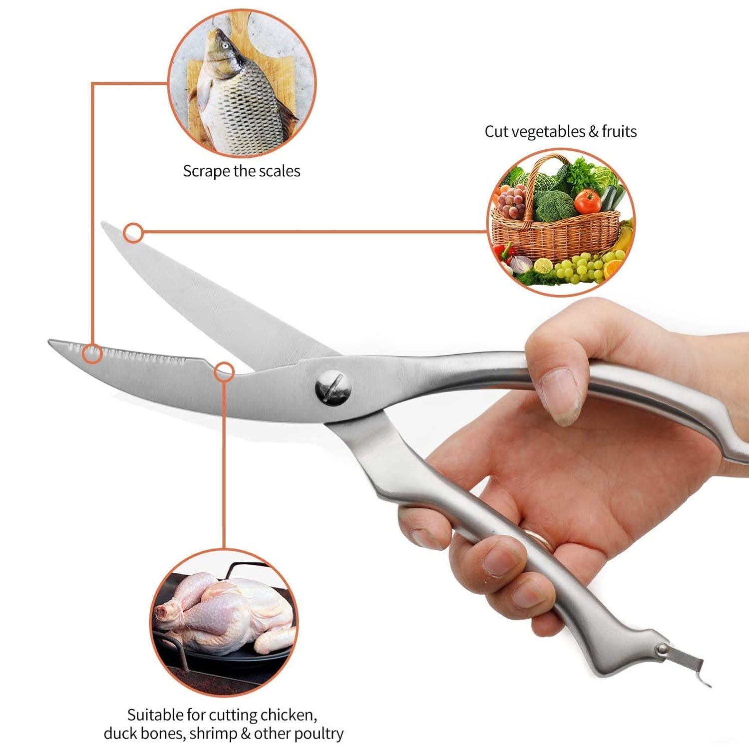 5206 Heavy Duty Stainless Steel Poultry Shears, Premium Ultra Sharp Spring-Loaded Kitchen 
