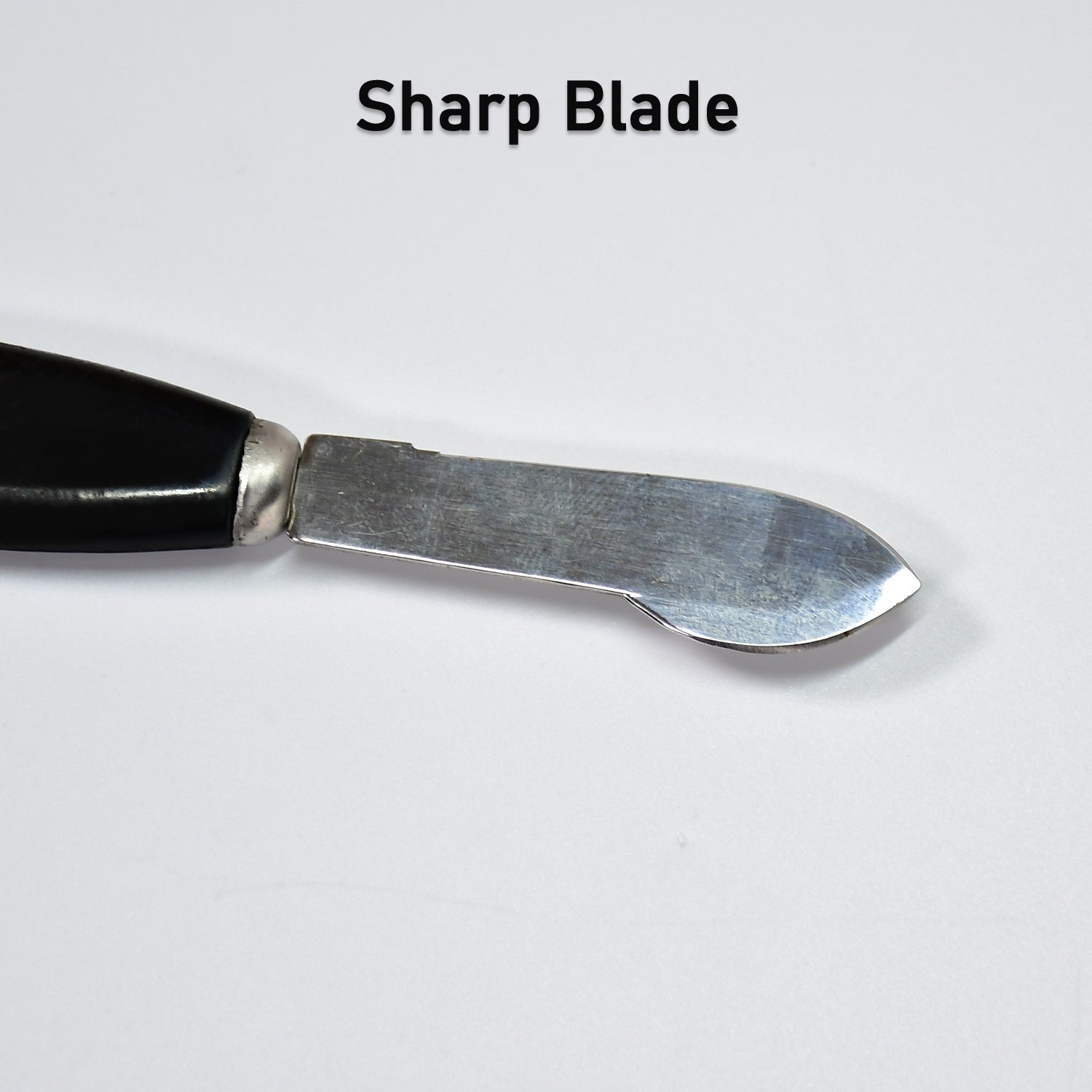 6323 Surgical Blade Carbon Steel Scalpel Blade, with handle. DeoDap