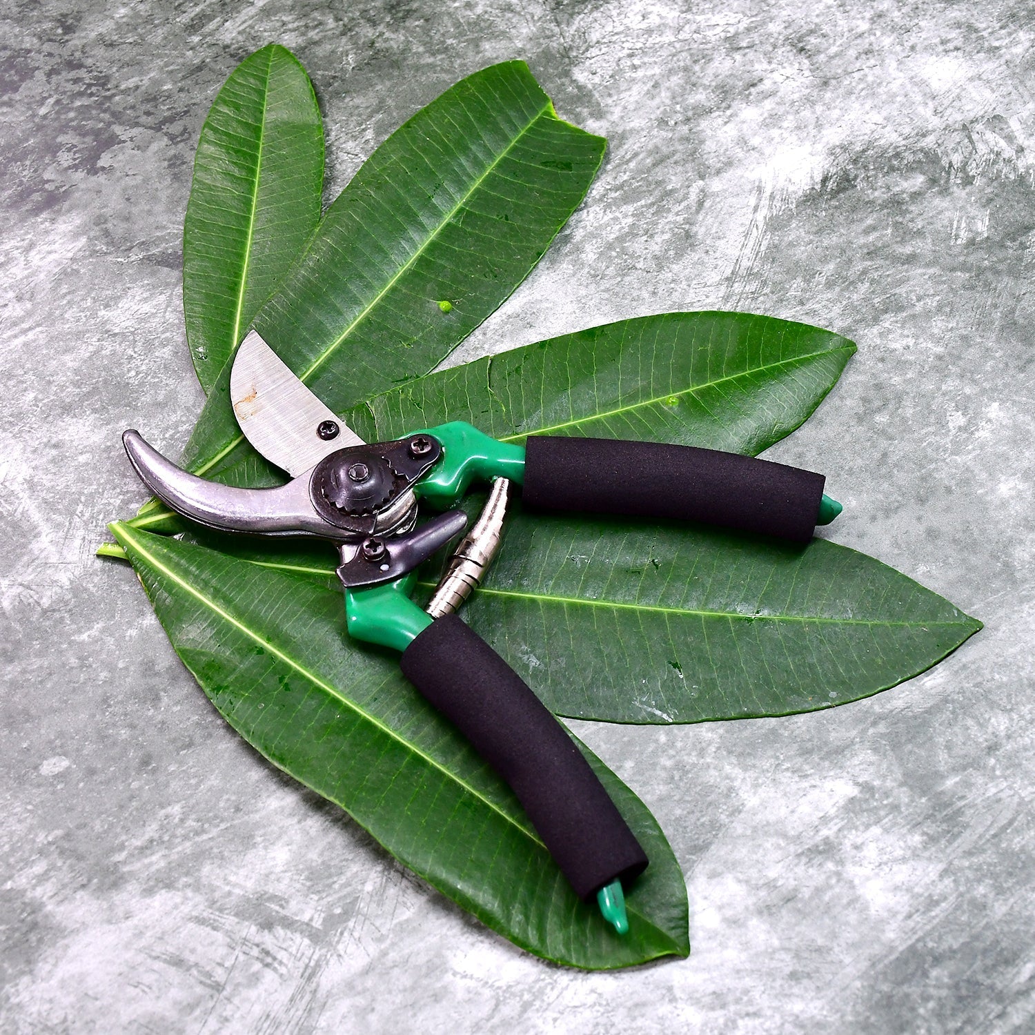 9083 GREEN GARDEN SHEARS SHARP CUTTER PRUNERS SCISSOR, PRUNER. DeoDap