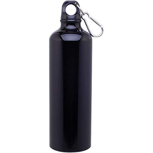 1316 Stainless Steel Fancy Water Bottle (500 ml) DeoDap