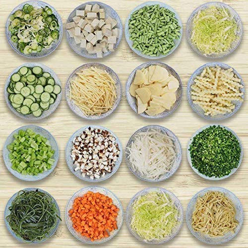 2415 Vegetable Cutter Chopper Chipser for Kitchen 12 in 1 (11 Blade and 1 Peeler) 