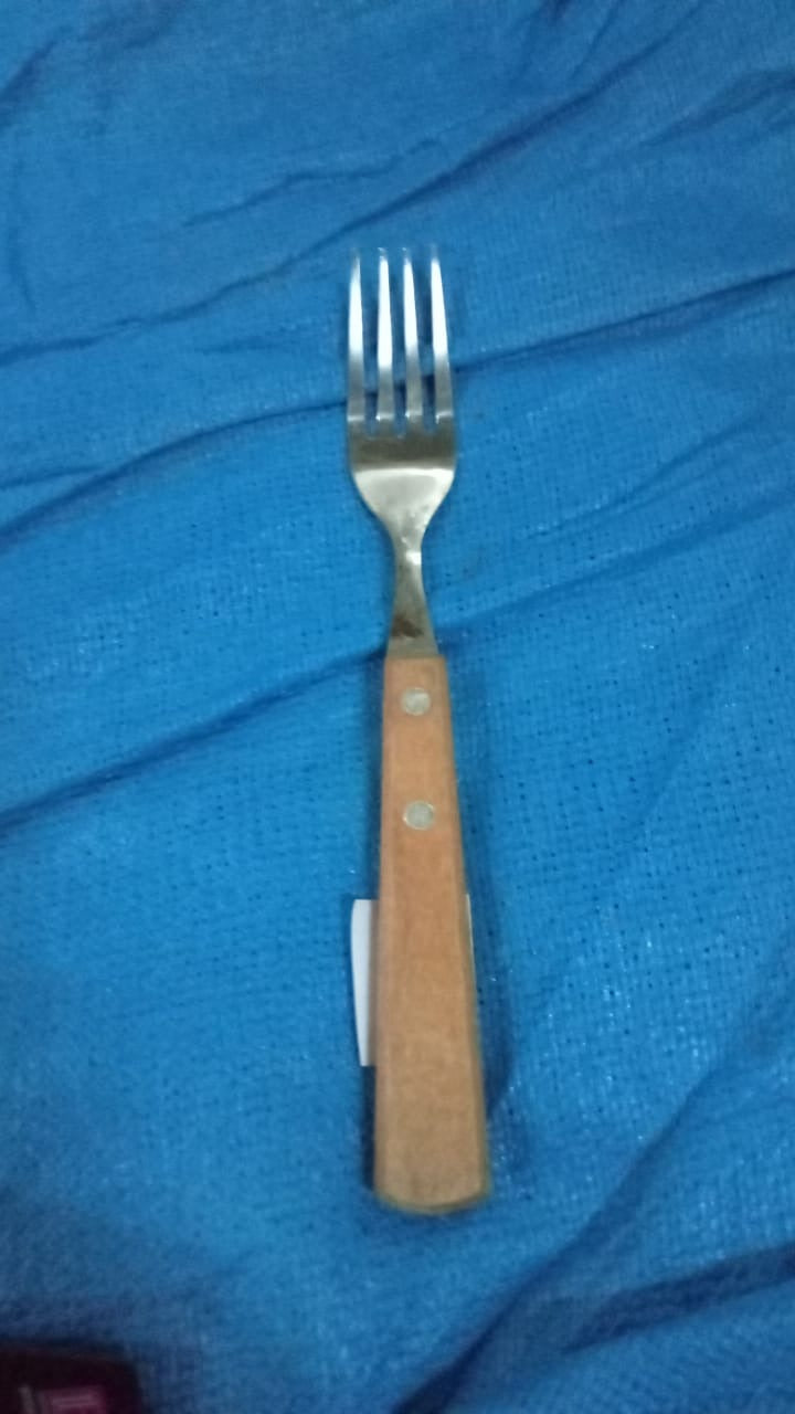 2989 1pc Stainless steel fork with wooden handle. DeoDap